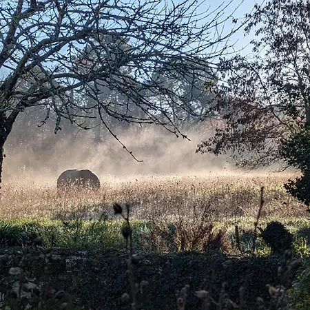 Hébergement de vacances Au Coeur De La Forêt, De 2 à 14 Personnes *