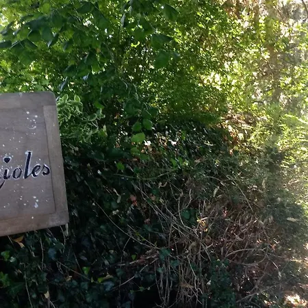 Les Lucioles, Charme, Calme, Nature Et Fraicheur Soulaures
